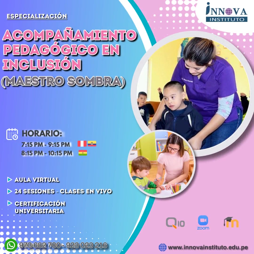ACOMPAÑAMOENTO PEDAGÓGICO EN INCLUSIÓN - MAESTRO SOMBRA